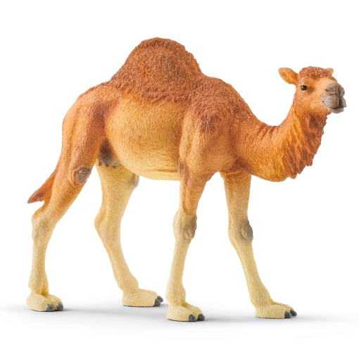 Dromedário SCHLEICH WILD Life