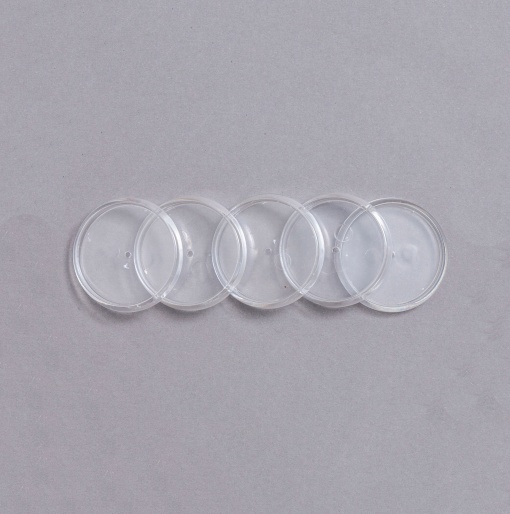 Discos + Elástico G para Caderno Inteligente Transparente 12+1 unidades