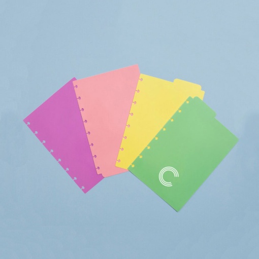 Separadores para Caderno Inteligente A5 4 posições Cores Pastel