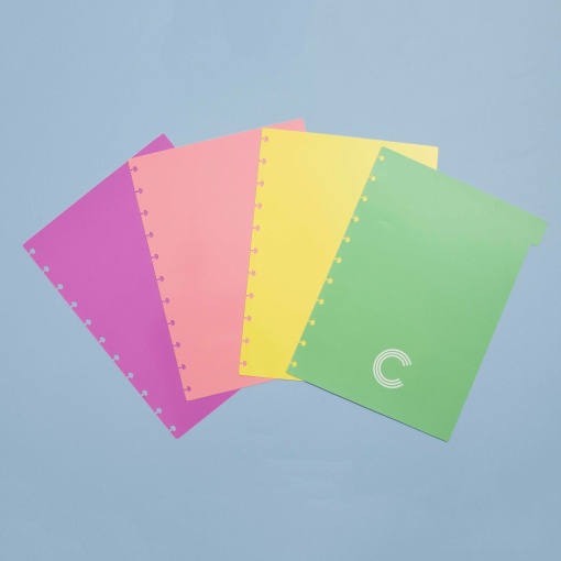 Separadores para Caderno Inteligente Grande (280x215mm) 4 Posições Cores Pastel