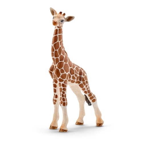 Cria de Girafa SCHLEICH WILD Life