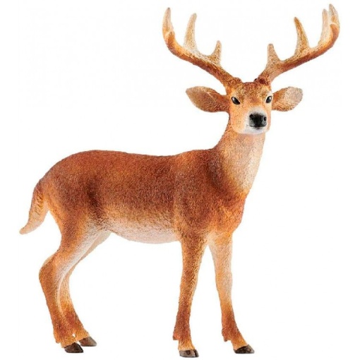 Veado Cauda Branca Macho SCHLEICH Wild Life