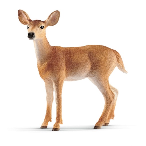 Veado Cauda Branca Fêmea SCHLEICH Wild Life