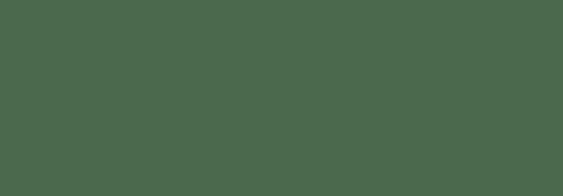 Tinta Acrílica TITAN Acualux Verde Azeitona 807 75ml