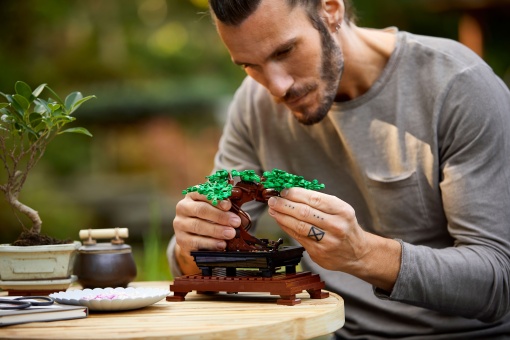 LEGO Botanical Collection Bonsai 10281