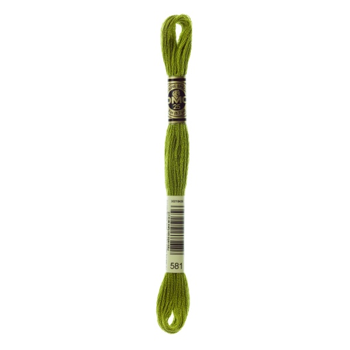 Linha de bordar DMC Mouliné 117MC verde 581