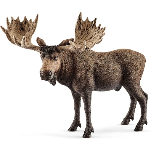 Alce macho SCHLEICH WILD Life