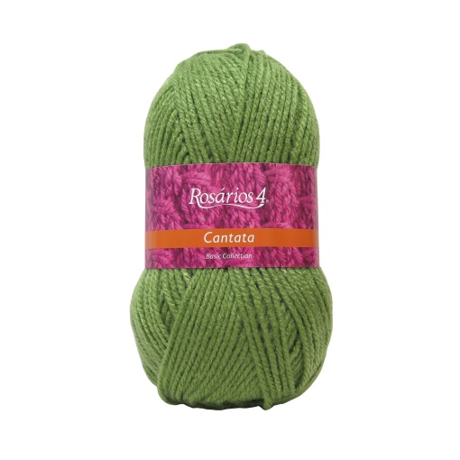 Fio de Tricot Rosários 4 Cantata 100g Verde Seco 39