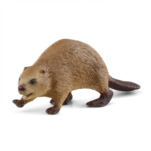 Castor SCHLEICH WILD Life
