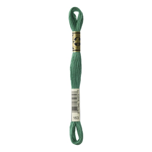 Linha de bordar DMC Mouliné 117MC verde 163