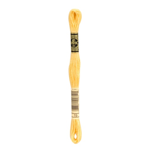Linha de Bordar DMC Mouliné 117MC Laranja Claro 19