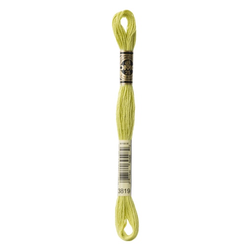 Linha de bordar DMC Mouliné 117MC verde lima 3819
