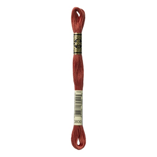 Linha de Bordar DMC Mouliné 117MC Castanho 3830