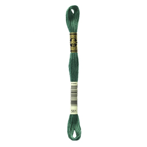 Linha de bordar DMC Mouliné 117MC verde 561