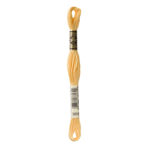 Linha de Bordar DMC Mouliné 117MC Laranja Claro 3855