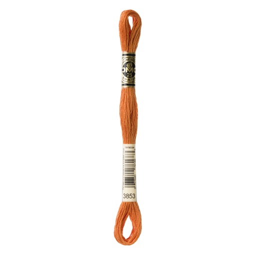 Linha de Bordar DMC Mouliné 117MC Laranja 3853