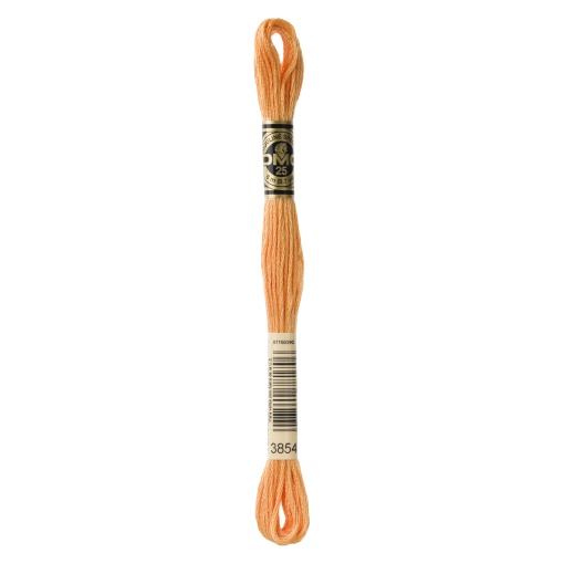 Linha de Bordar DMC Mouliné 117MC Laranja 3854