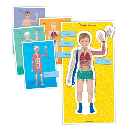 Montessori - Corpo humano CLEMENTONI Education