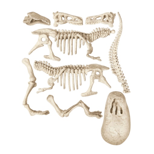 Kit Arqueologia Tiranossauro CLEMENTONI Ciência & Jogo Lab