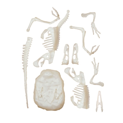 Kit Arqueologia Velociraptor CLEMENTONI Ciência & Jogo Lab