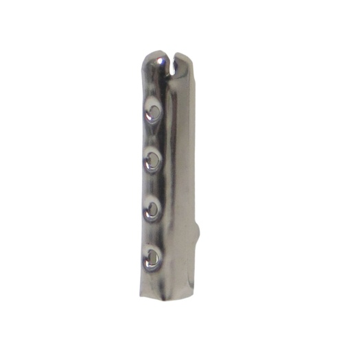 Terminal para Cordão 2x20mm Prateado COSE