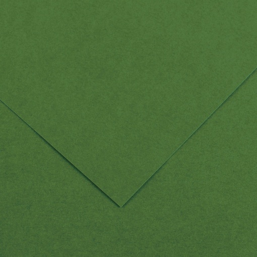 Cartolina CANSON IRIS VIVALDI A3 185g Verde 89