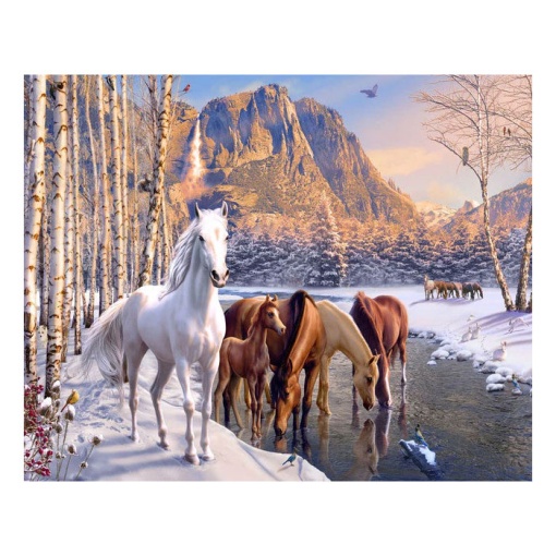 Pintar por números FIGURED'ART com moldura 40x50cm cavalos no final do inverno