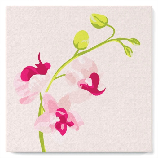 Pintar por números FIGURED'ART com moldura 20x20cm ramo de orquídea