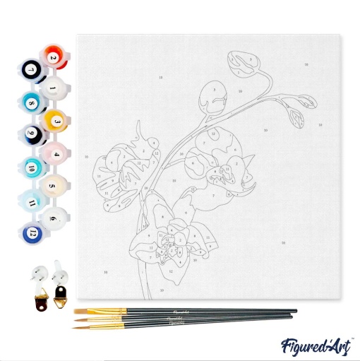 Pintar por números FIGURED'ART com moldura 20x20cm ramo de orquídea