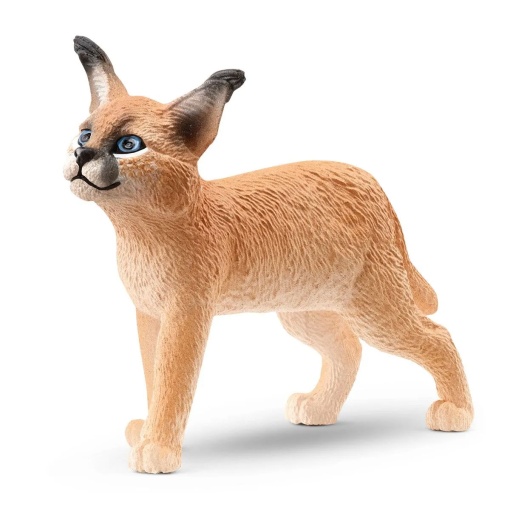 Caracal Bebé SCHLEICH WILD Life