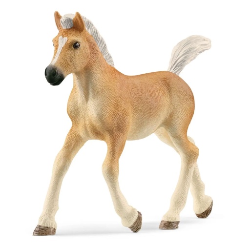 Potro Haflinger SCHLEICH HORSE Club