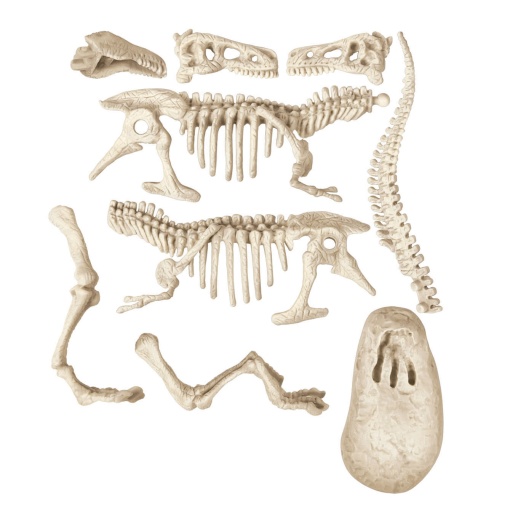 Kit Arqueologia Tiranossauro Rex + Triceratops CLEMENTONI Ciência & Jogo Lab