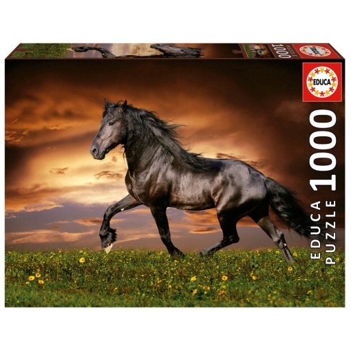 Puzzle EDUCA 1000 peças Cavalo a Galope