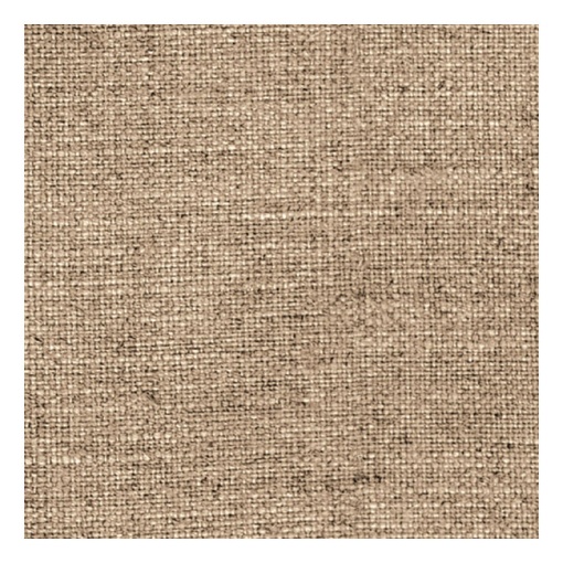 Cartolina URSUS 300g 49,5x68cm Linho Bege