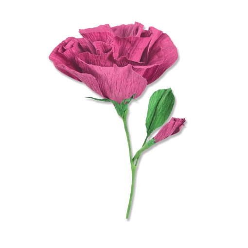 Cortante SIZZIX Thinlits lisianthus by Alexis Trimble