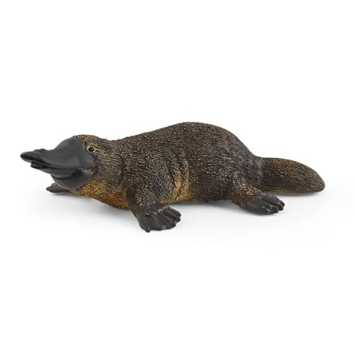 Ornitorrinco SCHLEICH WILD Life