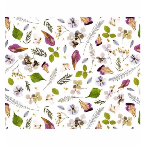 Cartolina URSUS 300g 49,5x68cm Flores Secas