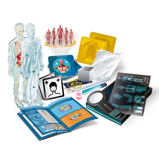 Super Anatomia CLEMENTONI Ciência & Jogo Lab