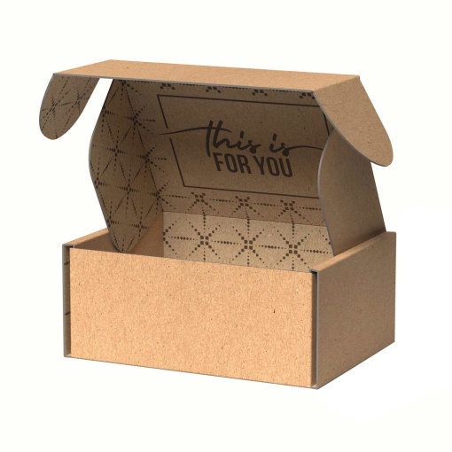 Caixa para E-commerce This Is For You 22,5x15,5x9cm Kraft