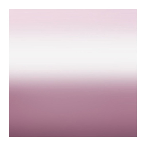 Vinil termocolante para CRICUT 30,5x30,5cm 4 folhas Spring Meadow