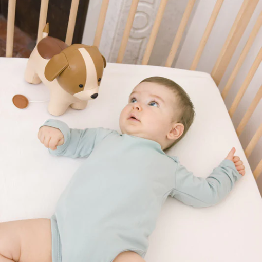 Peluche Musical LITTLE Big Friends Adrien - O Cão 20cm