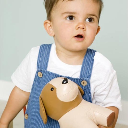 Peluche Musical LITTLE Big Friends Adrien - O Cão 20cm