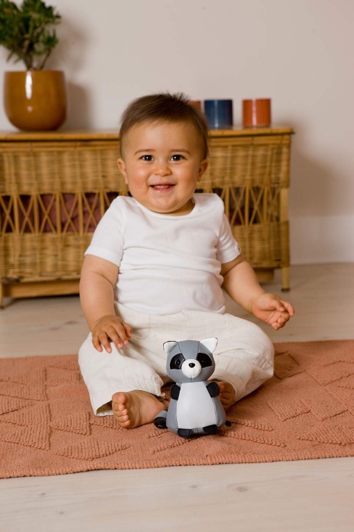 Peluche LITTLE Big Friends Denver - O Guaxinim 10cm