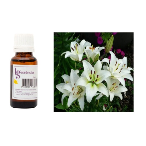Essência de Lírio 20ml