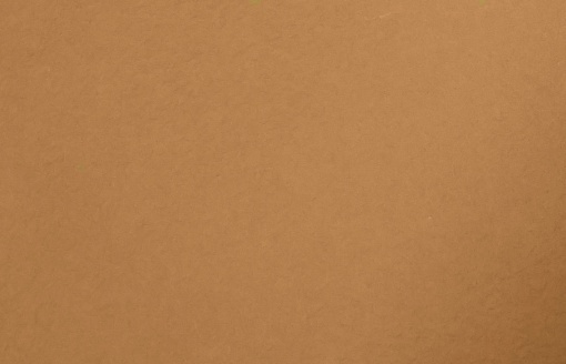 Papel Algodão Barbado SIMPLY A4 Terra com 5