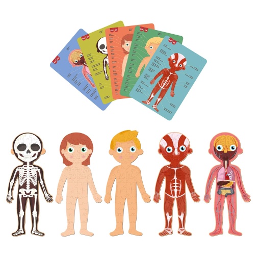Puzzle Apli Kids 240 peças o corpo humano