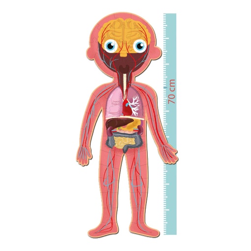 Puzzle Apli Kids 240 peças o corpo humano