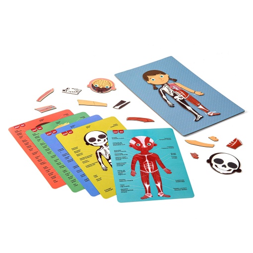Magnets o corpo humano 63 peças APLI Kids