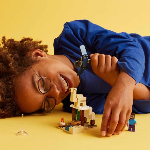 LEGO MINECRAFT Expedição no Deserto de Steve 21251