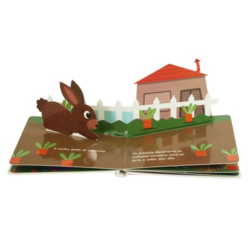 Pop-ups divertidos - animais EUROPRICE